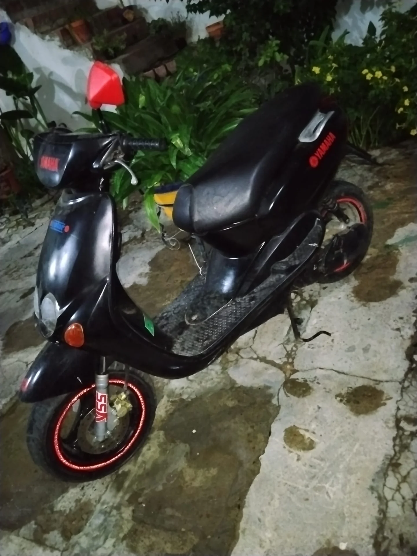 Foto 2