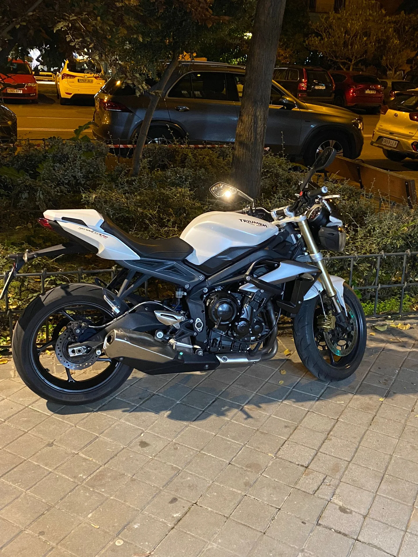 TRIUMPH STREET TRIPLE 660